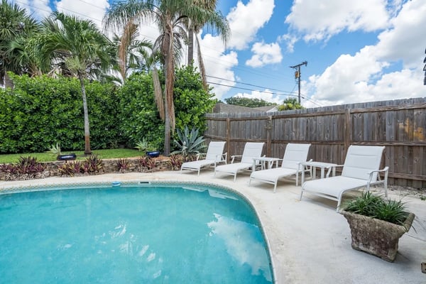 Backyard pool with four white lounge chairs, palm trees, and wooden fence under blue sky
